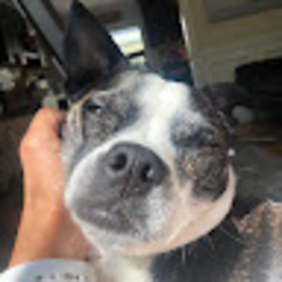 Meet your Posher, Daniel - Picture 1 of 1